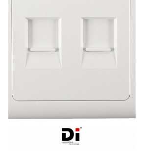 Di FACE PLATE (DUAL OUT)